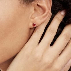 Boucles D'oreilles Kelvyn Argent Rose Oxyde -Montres Magasin FAOFRZR008 model1